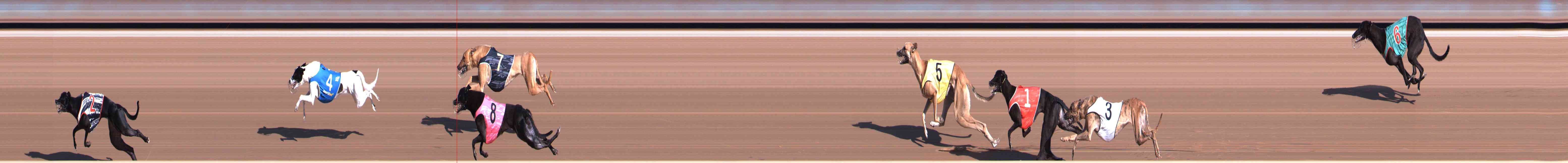 Photo finish for Healesville Race 1