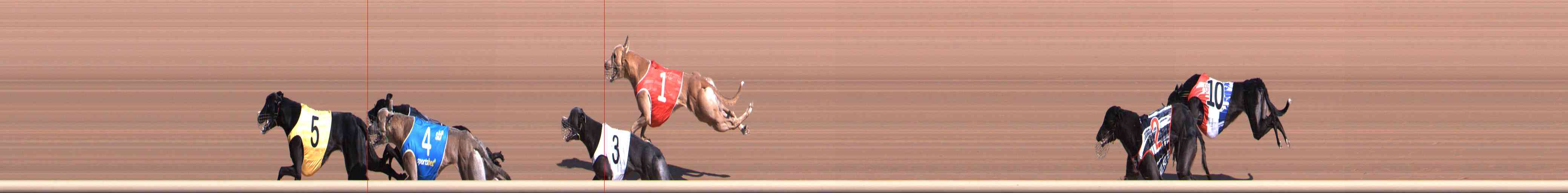 Photo finish for Healesville Race 2