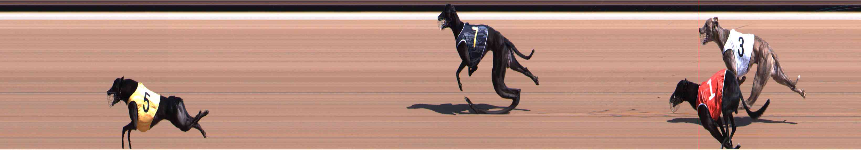 Photo finish for Healesville Race 6