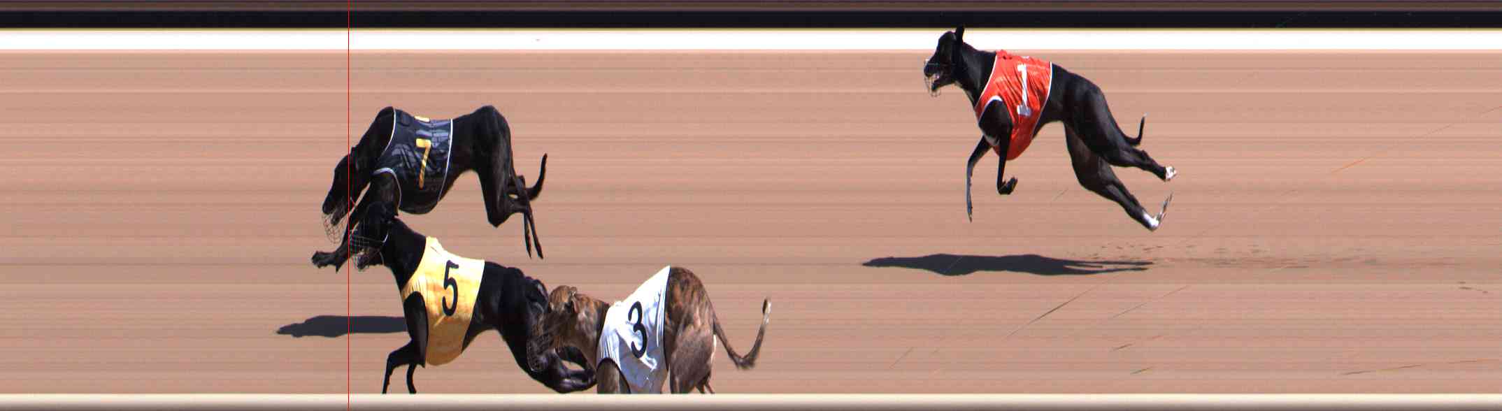 Photo finish for Healesville Race 7