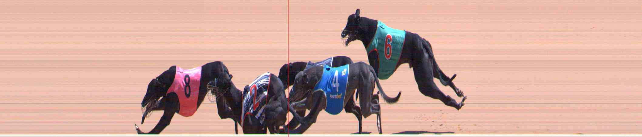 Photo finish for Healesville Race 11