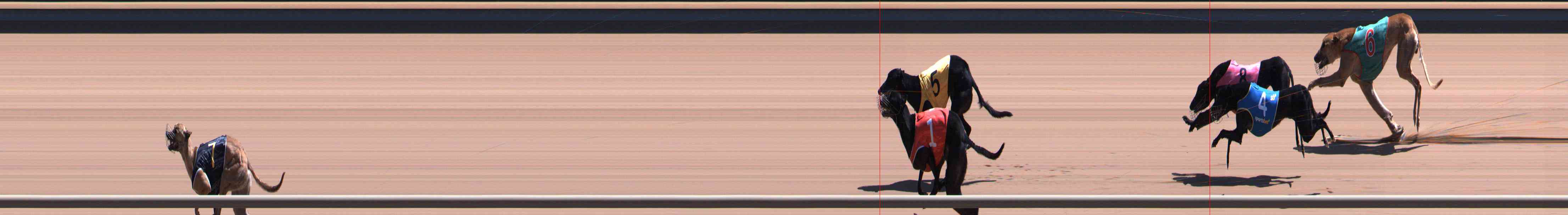 Photo finish for Healesville Race 12
