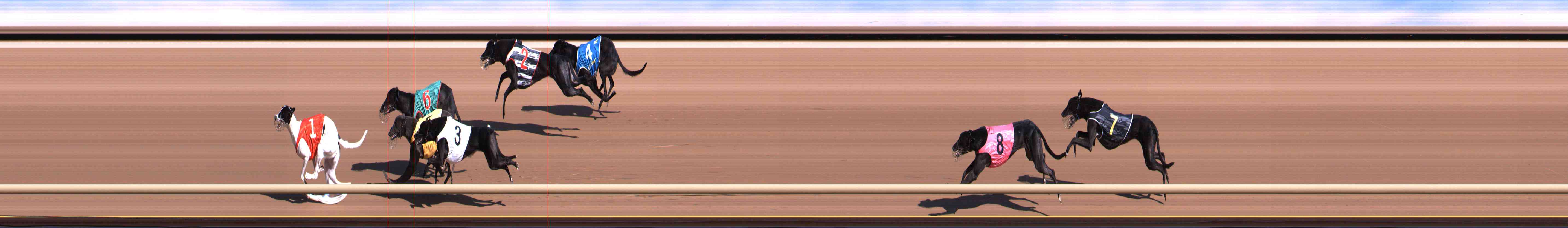 Photo finish for Healesville Race 1