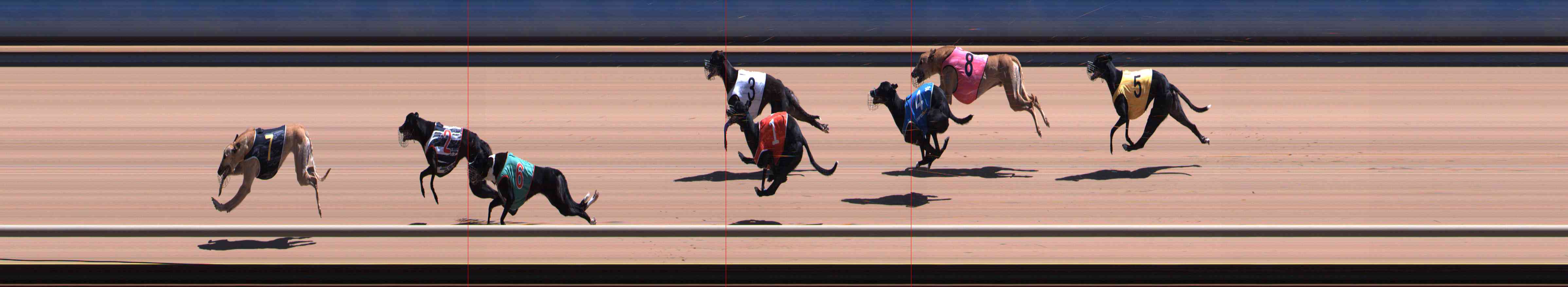 Photo finish for Healesville Race 10