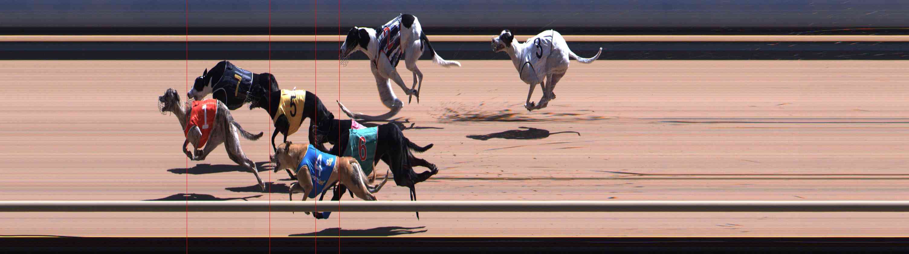 Photo finish for Healesville Race 11