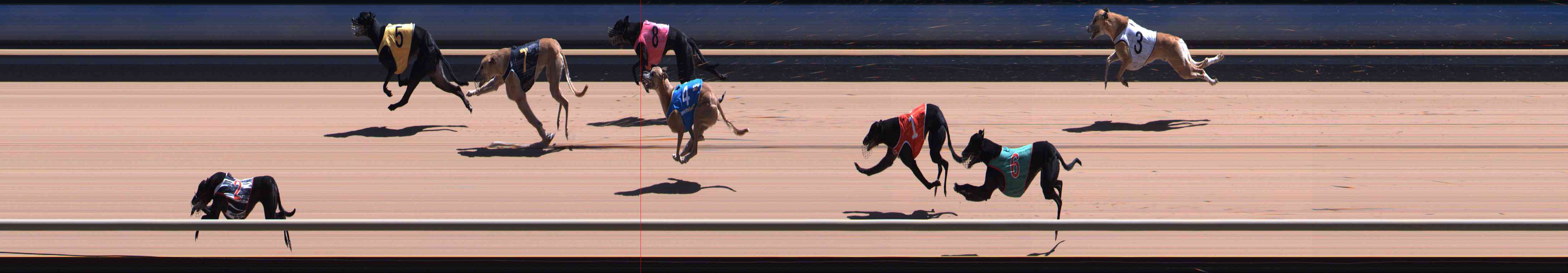 Photo finish for Healesville Race 12