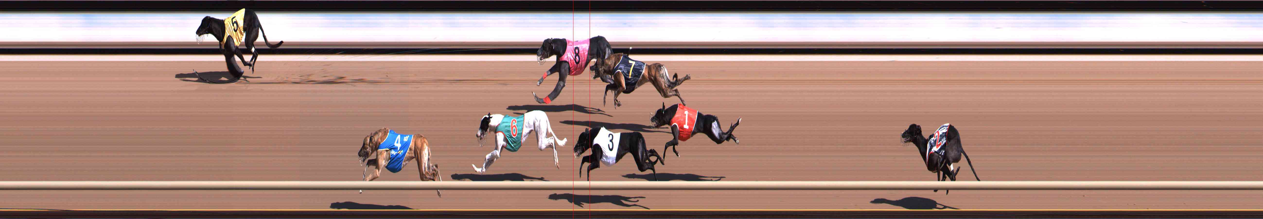 Photo finish for Healesville Race 2