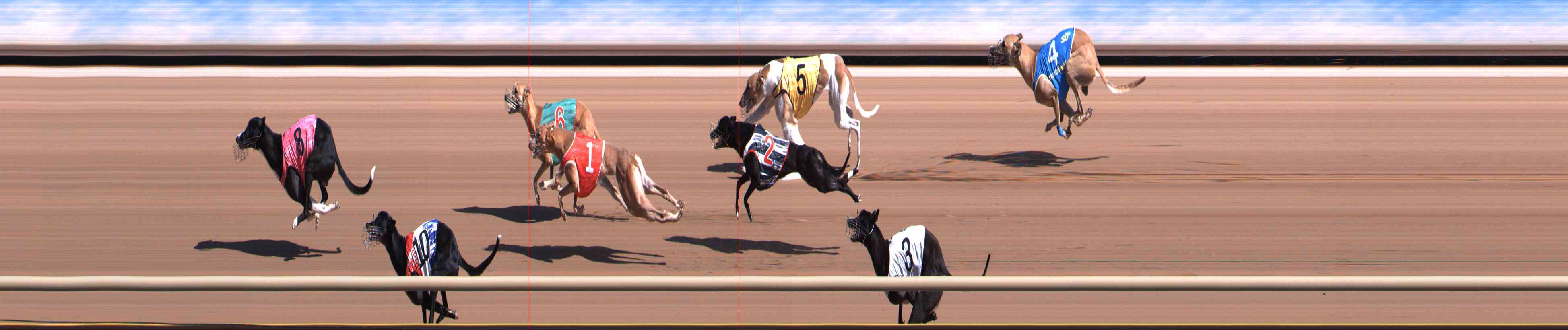 Photo finish for Healesville Race 3