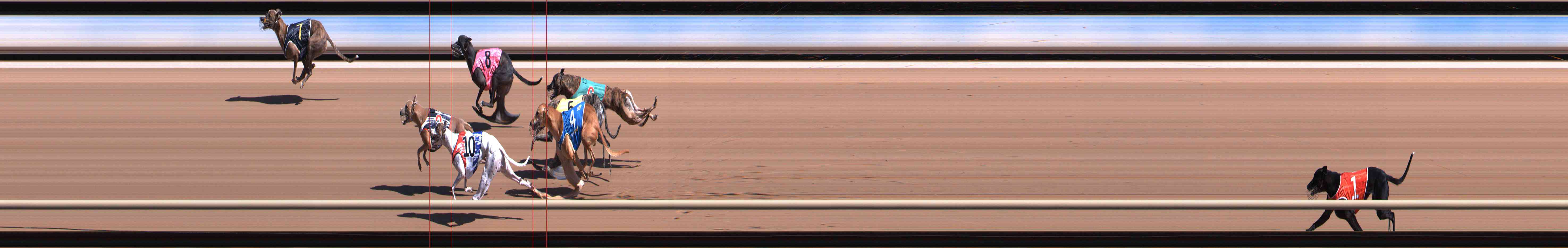 Photo finish for Healesville Race 4