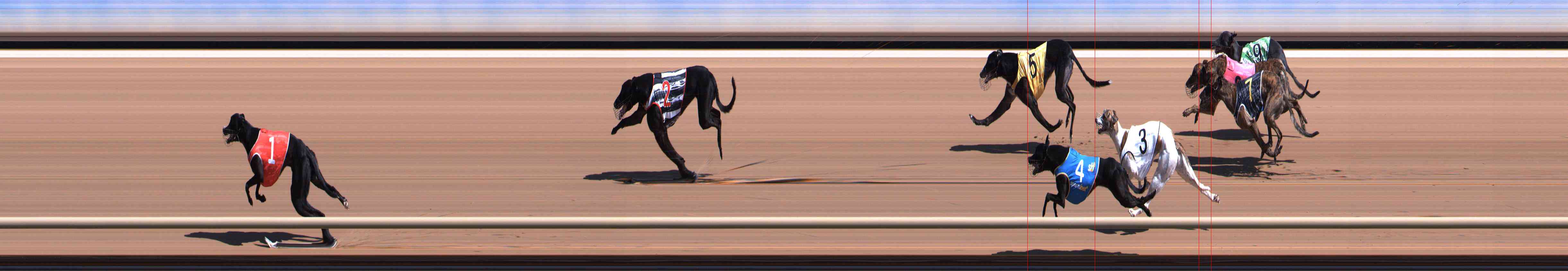 Photo finish for Healesville Race 5