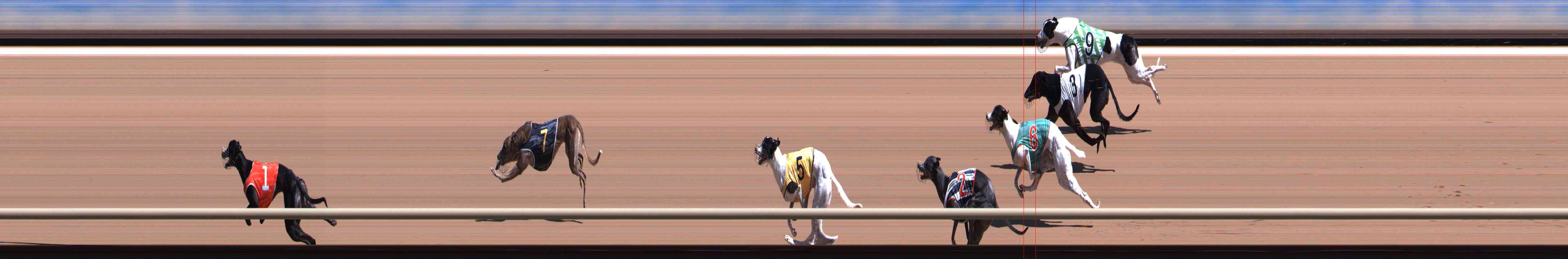 Photo finish for Healesville Race 6