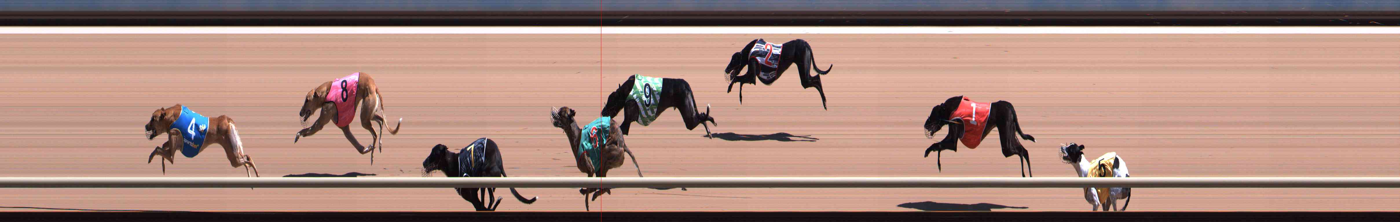Photo finish for Healesville Race 8