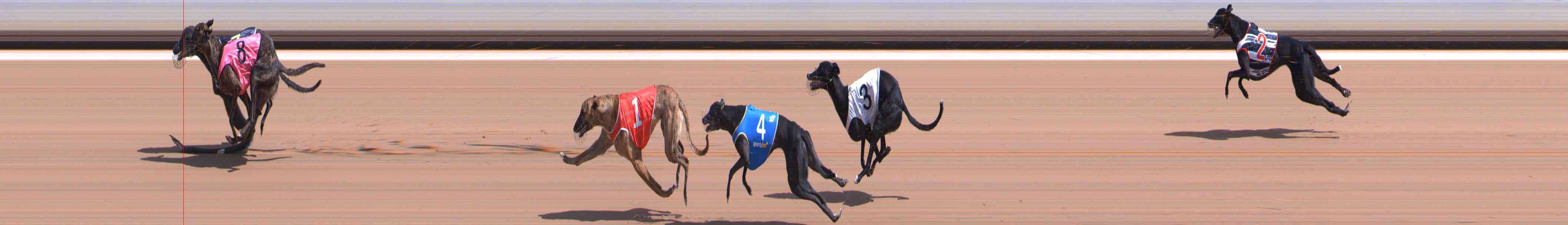 Photo finish for Healesville Race 3