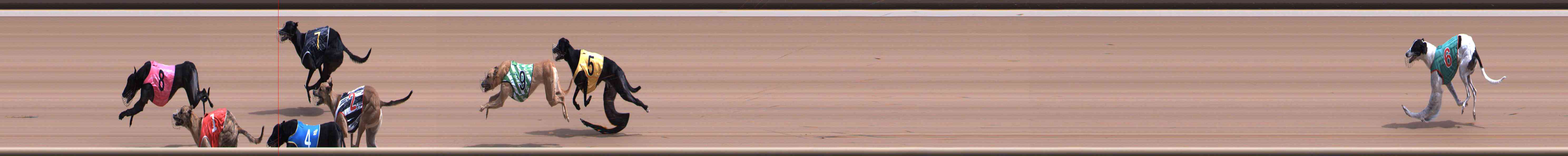 Photo finish for Healesville Race 4