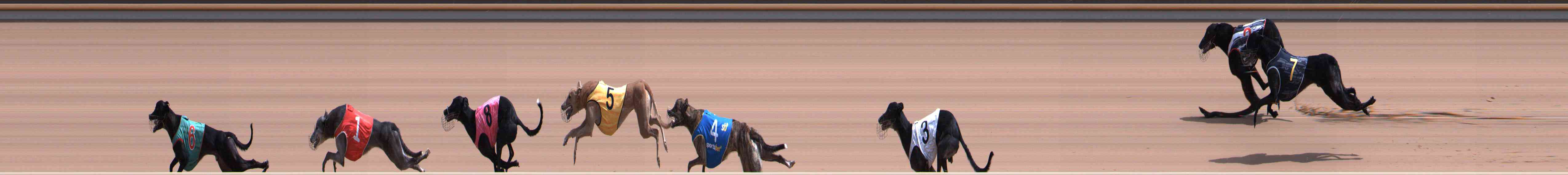 Photo finish for Healesville Race 7