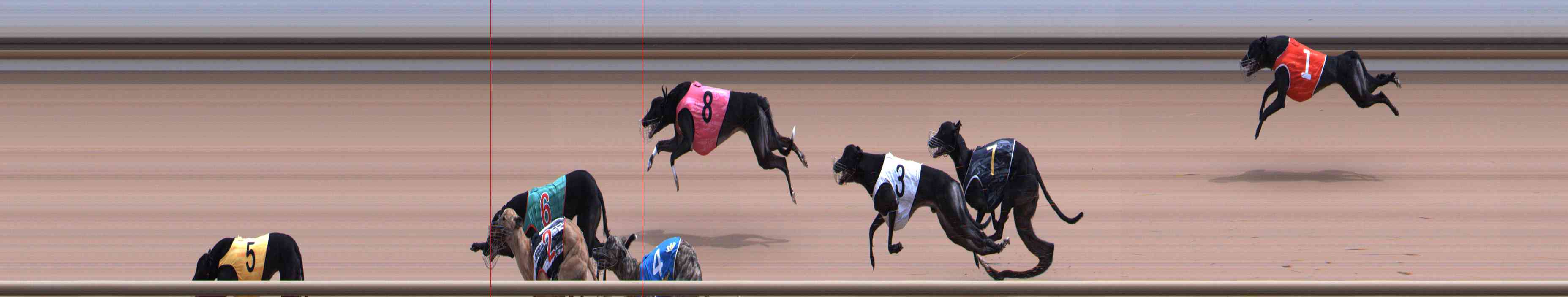 Photo finish for Healesville Race 8