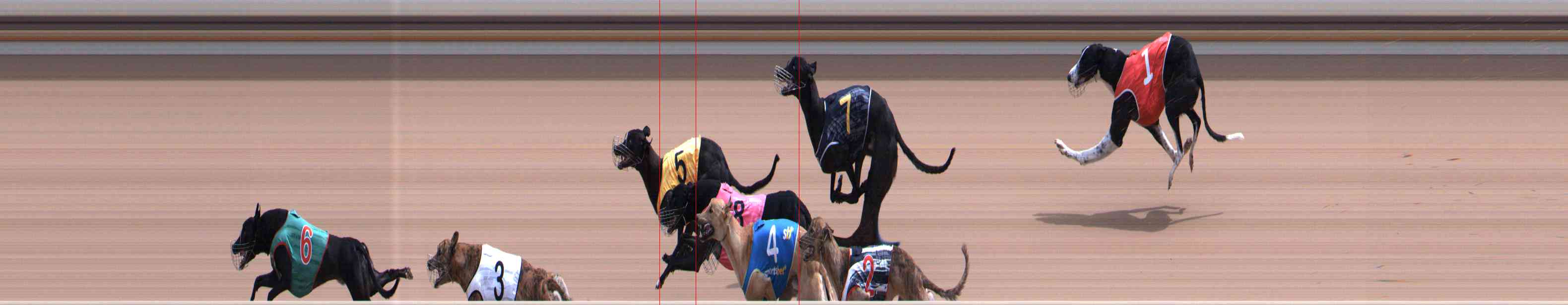 Photo finish for Healesville Race 9