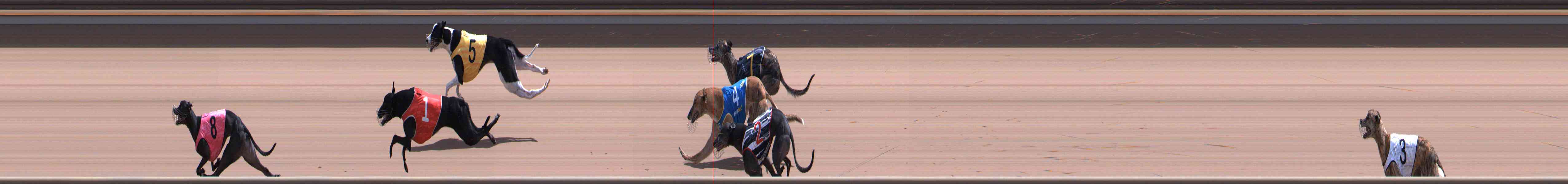 Photo finish for Healesville Race 10