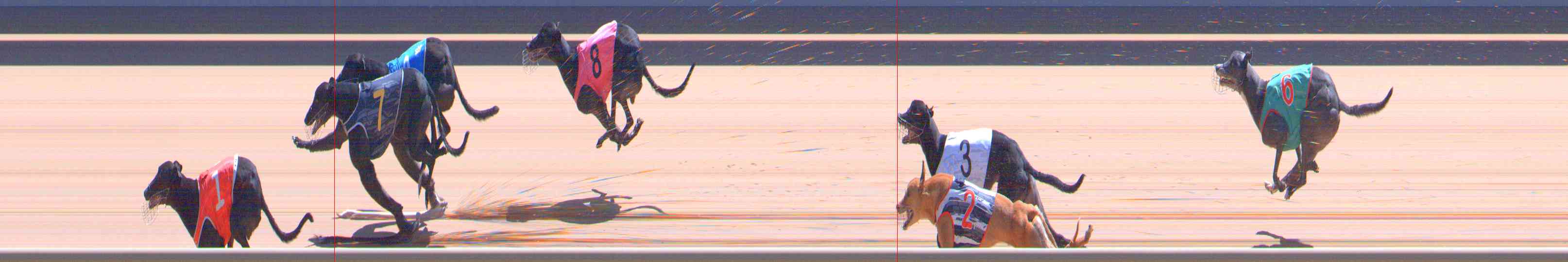 Photo finish for Healesville Race 12