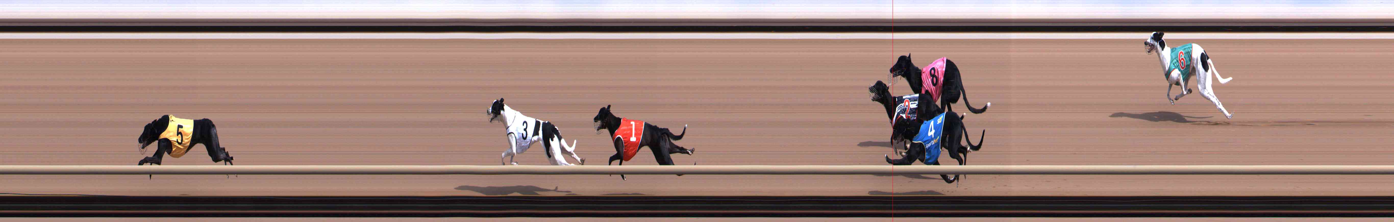 Photo finish for Healesville Race 1