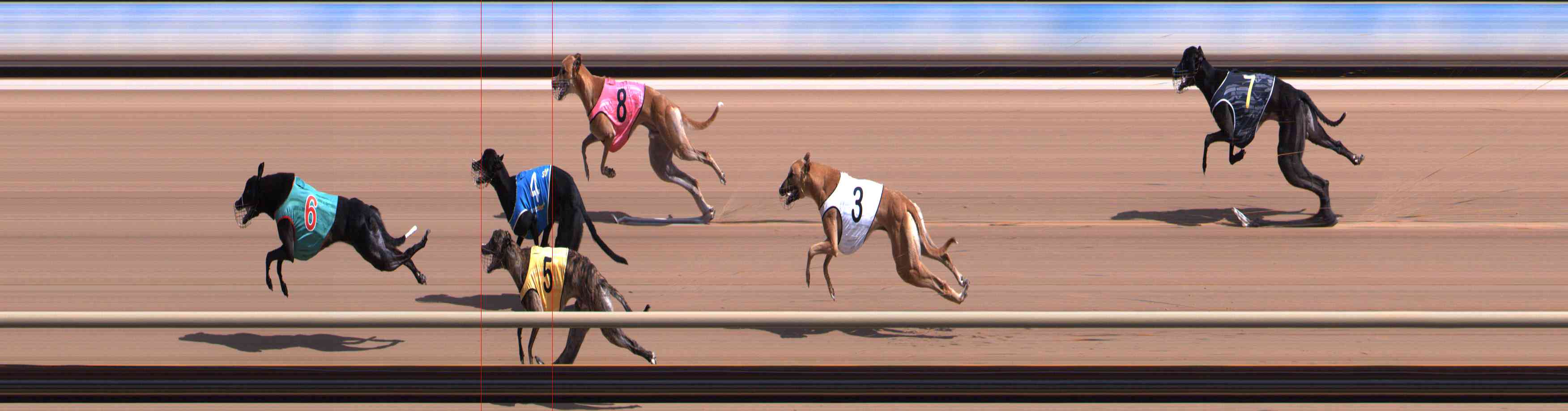 Photo finish for Healesville Race 2
