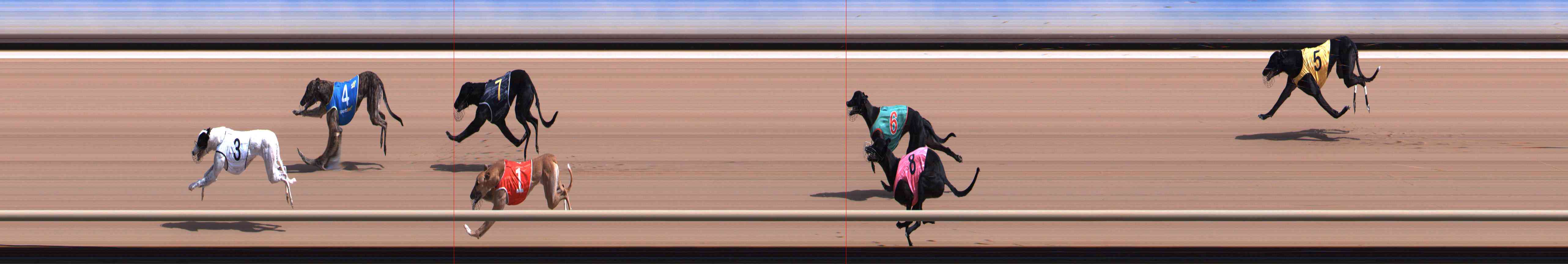 Photo finish for Healesville Race 3