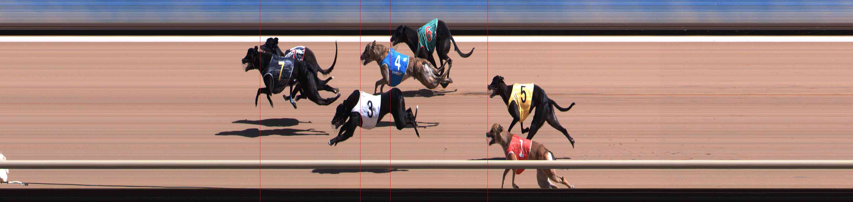 Photo finish for Healesville Race 4