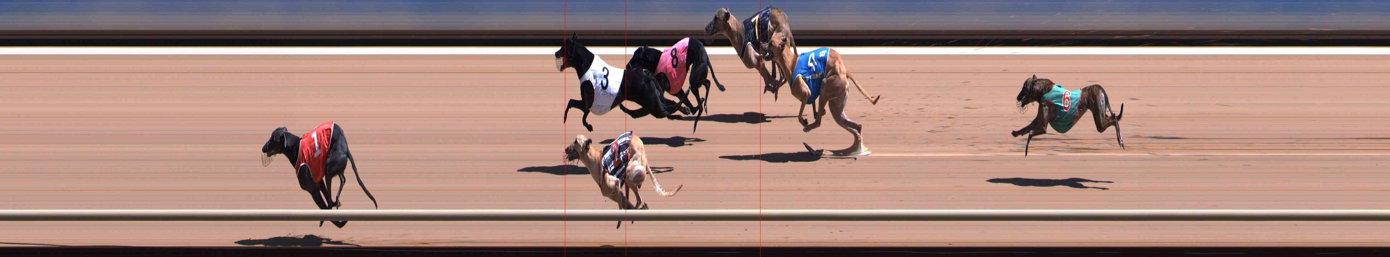 Photo finish for Healesville Race 5