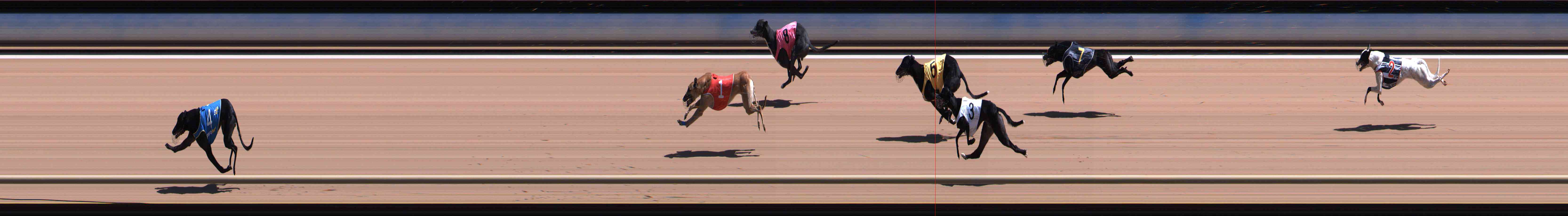 Photo finish for Healesville Race 6