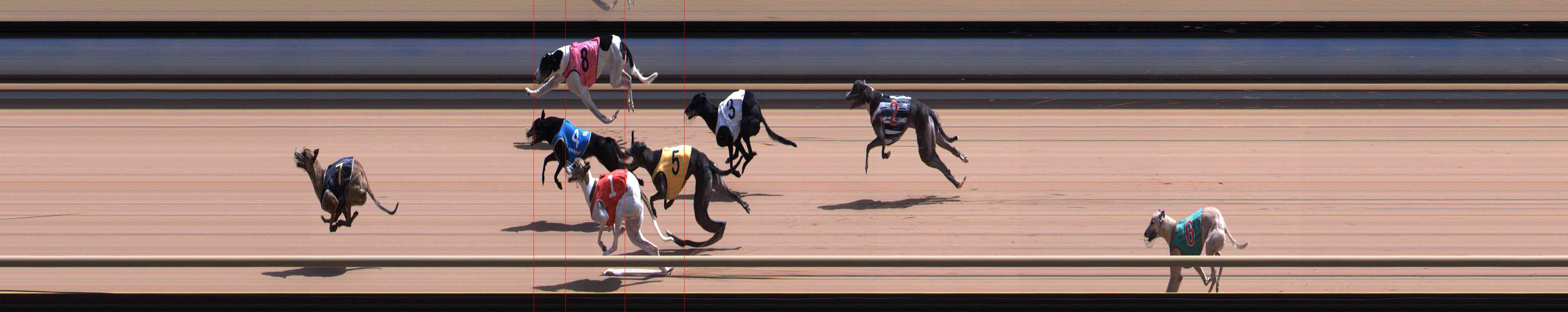 Photo finish for Healesville Race 8
