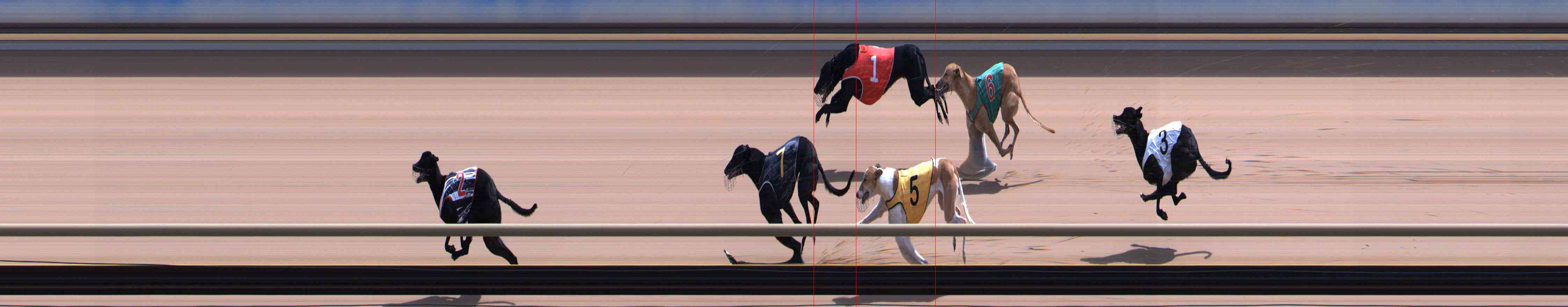 Photo finish for Healesville Race 10