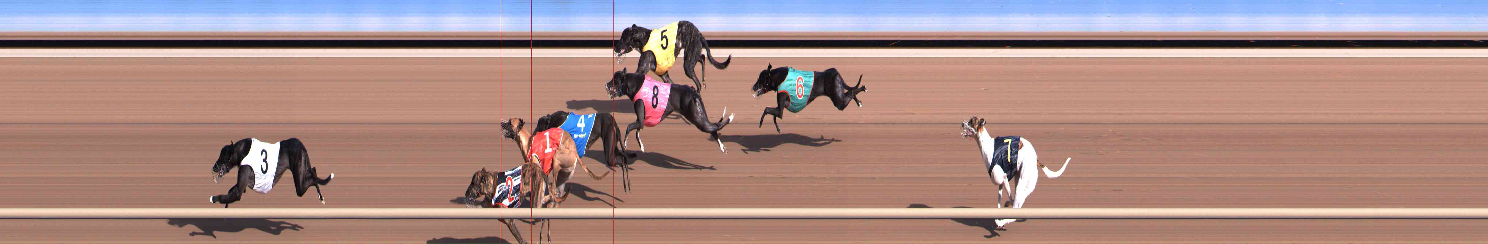 Photo finish for Healesville Race 1