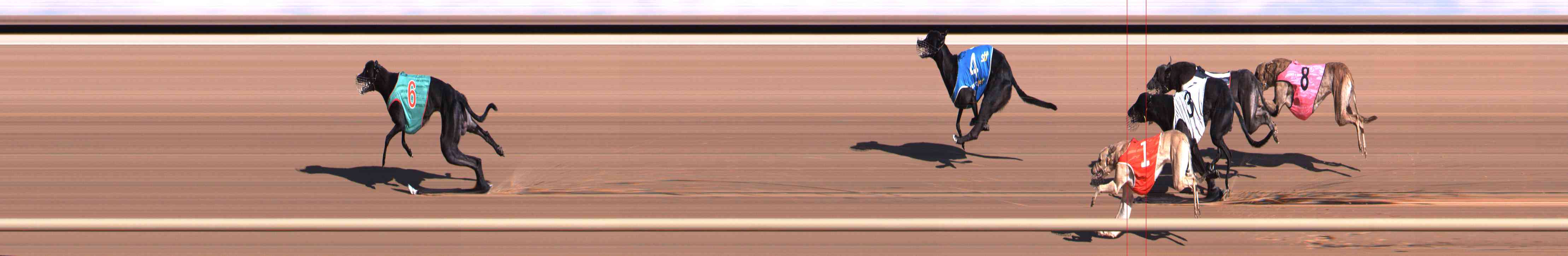Photo finish for Healesville Race 2
