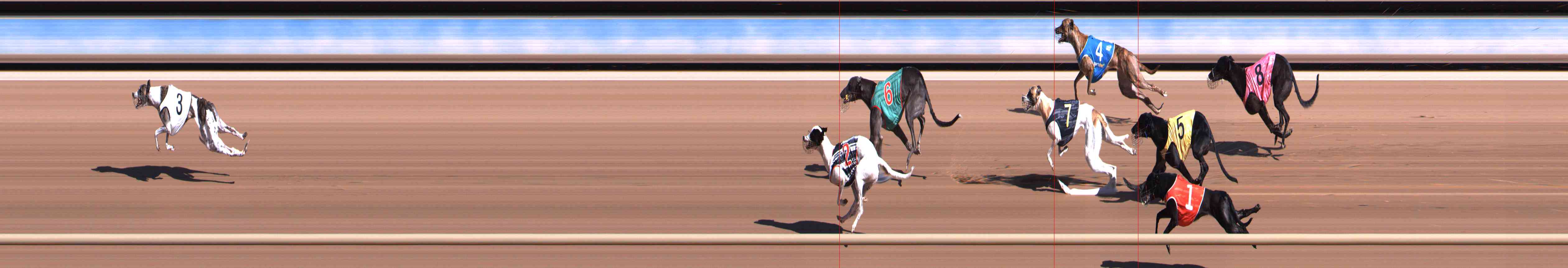 Photo finish for Healesville Race 3