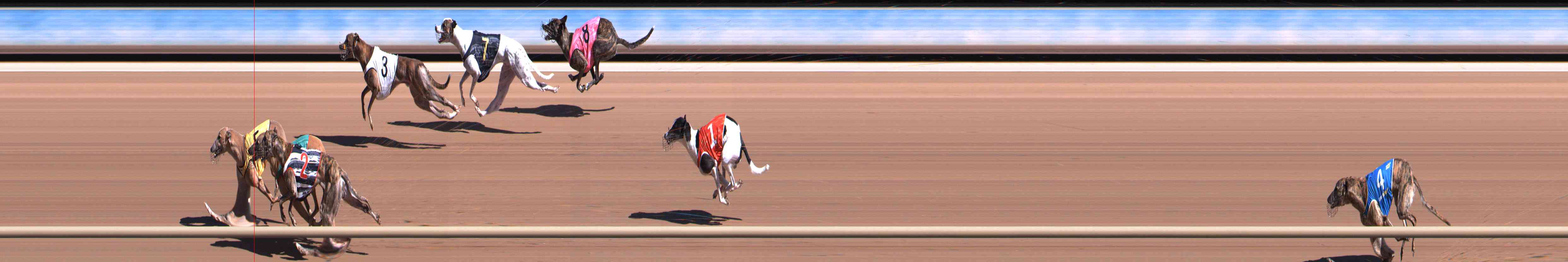 Photo finish for Healesville Race 4