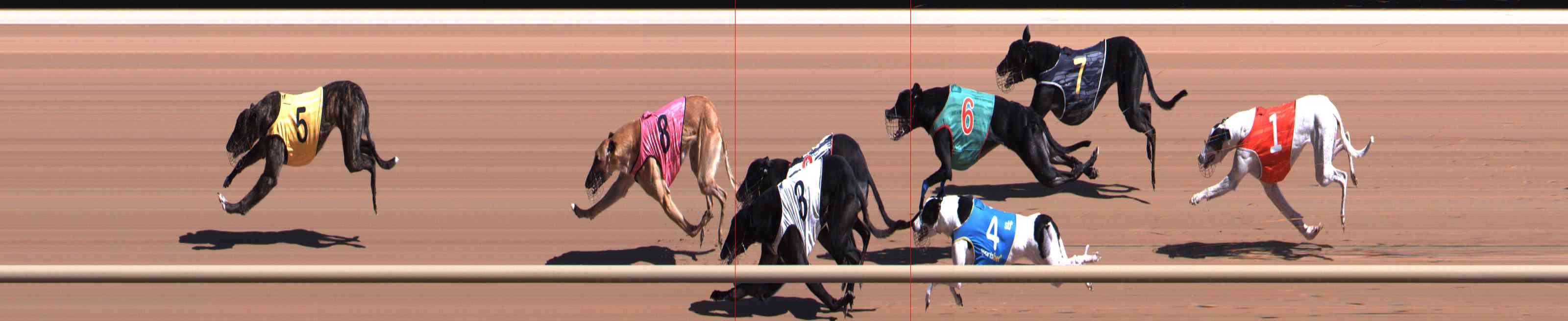 Photo finish for Healesville Race 5