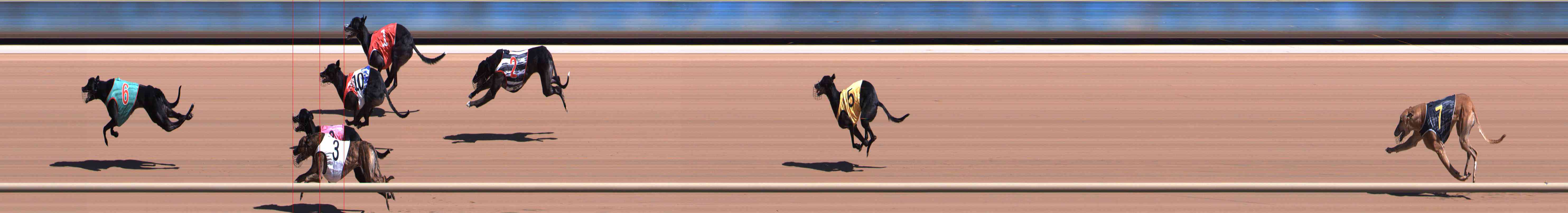 Photo finish for Healesville Race 6