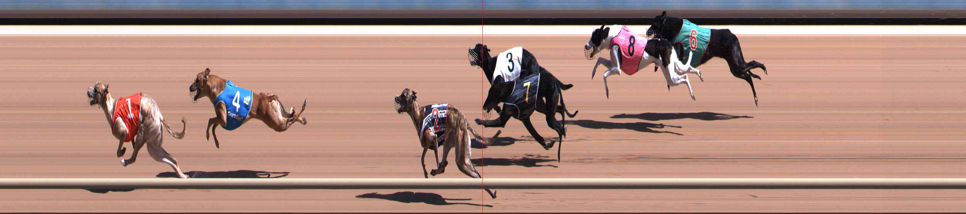 Photo finish for Healesville Race 7