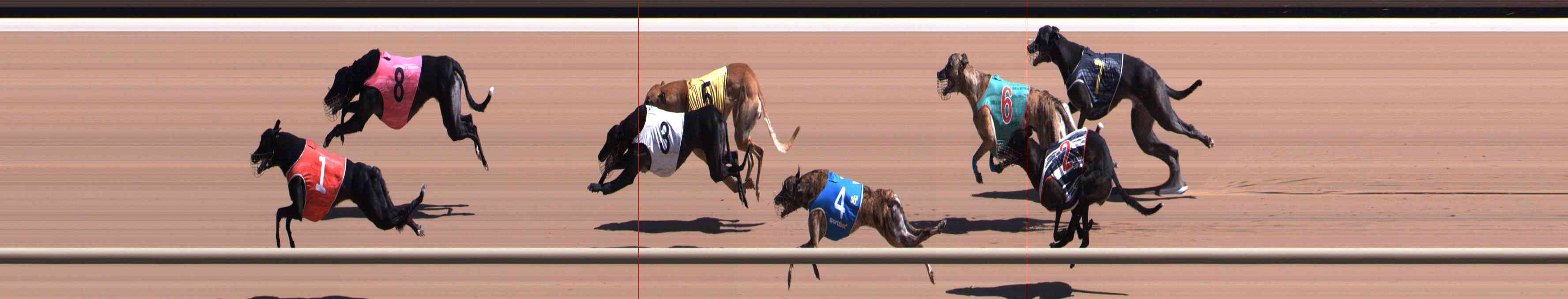 Photo finish for Healesville Race 8