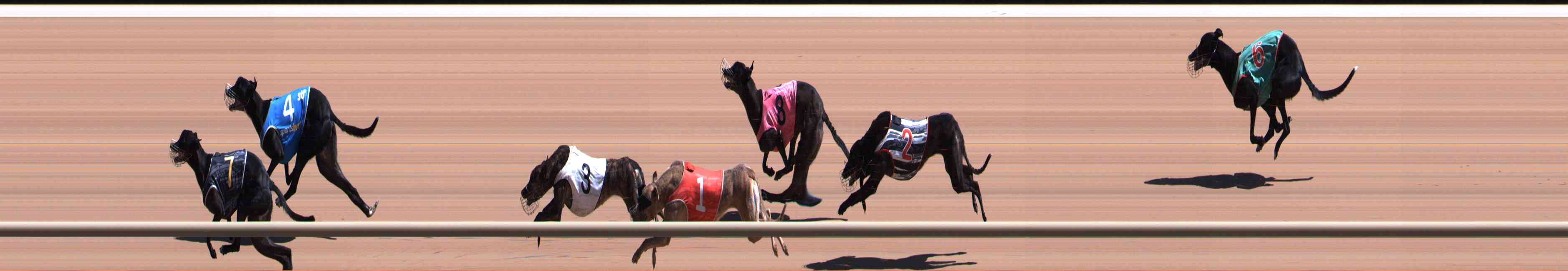 Photo finish for Healesville Race 9