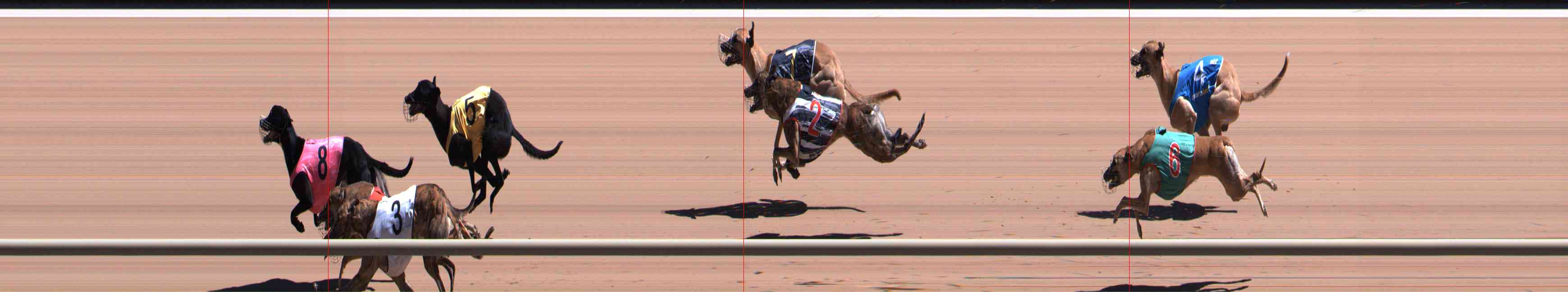 Photo finish for Healesville Race 10