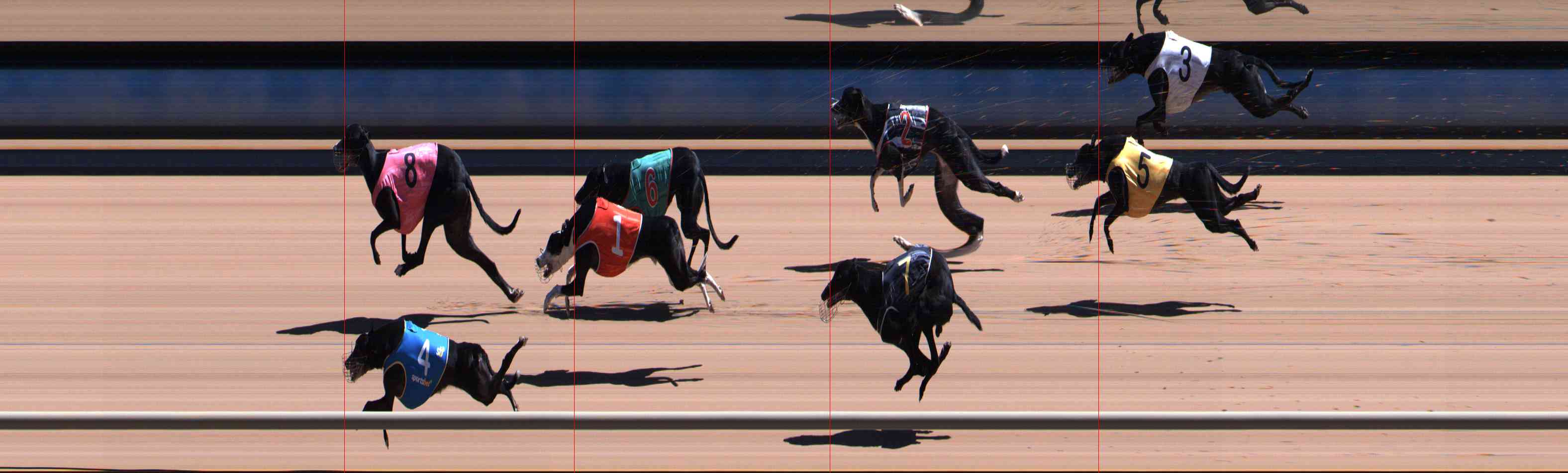 Photo finish for Healesville Race 11