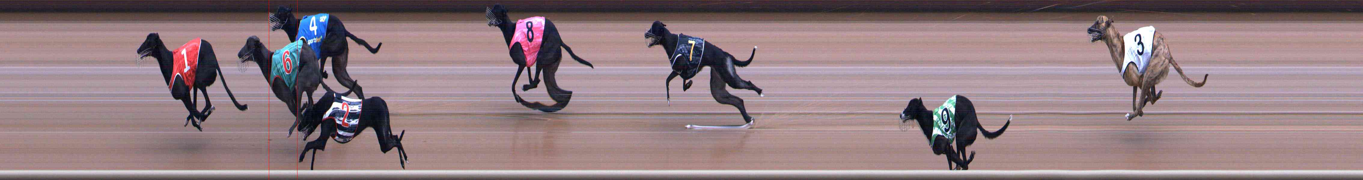 Photo finish for Healesville Race 1