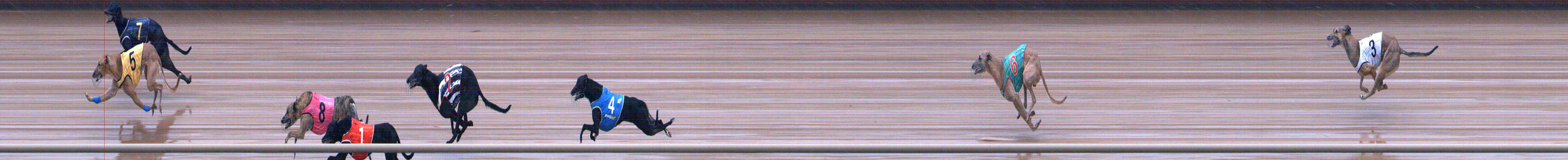 Photo finish for Healesville Race 3
