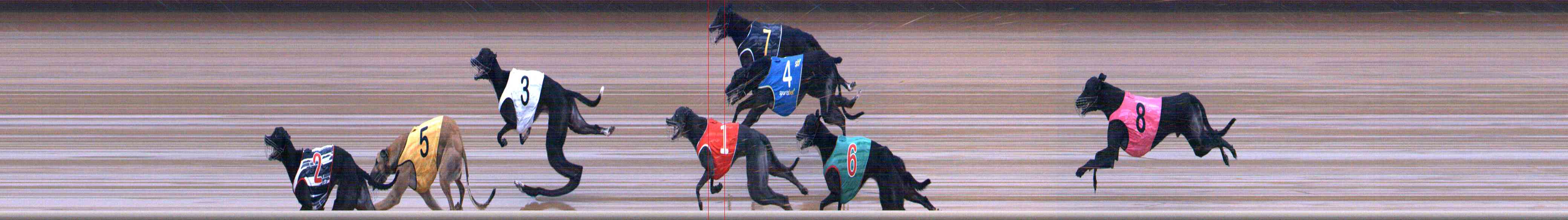 Photo finish for Healesville Race 4