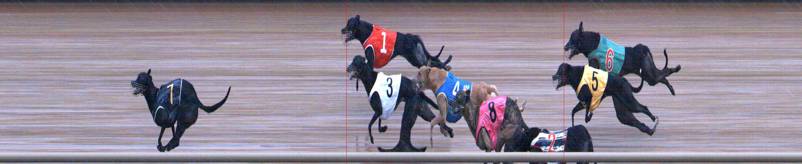 Photo finish for Healesville Race 6