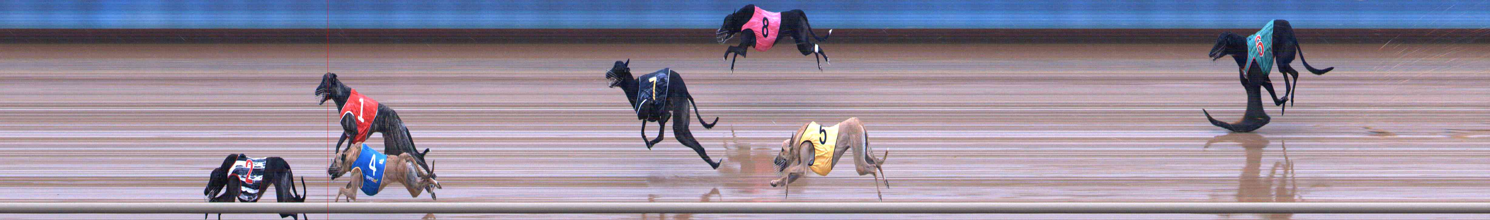 Photo finish for Healesville Race 7