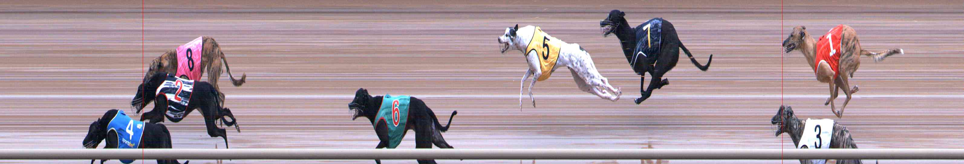 Photo finish for Healesville Race 8