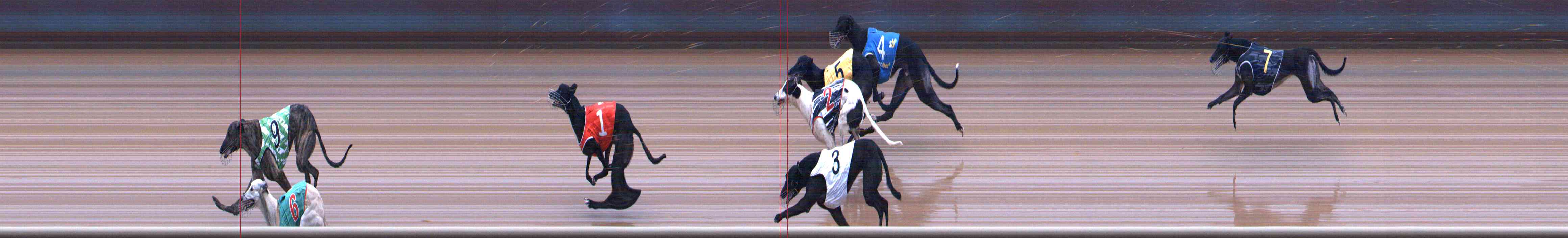 Photo finish for Healesville Race 9