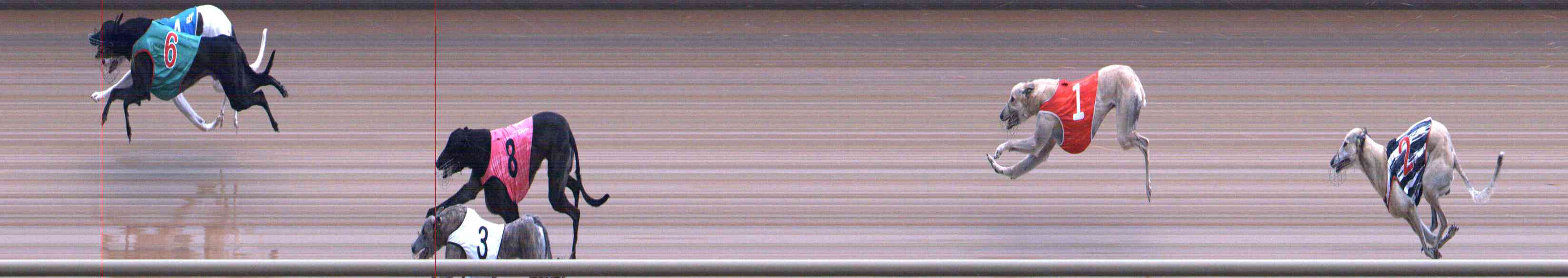 Photo finish for Healesville Race 10